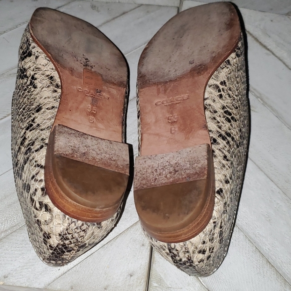 Coach Size 5.5 B Snakeskin Design - Picture 8 of 9